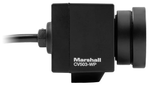 Marshall CV503-WP - Kampro GmbH